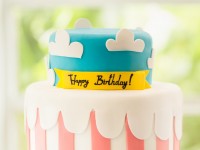 Etiam commodo convallis